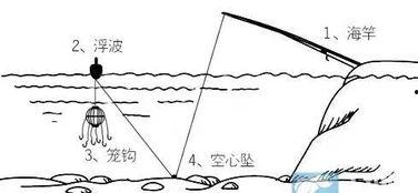 爆料鲢鳙钓法视频教程,视频教程深度解析