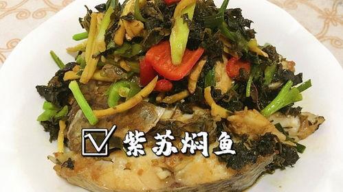 罗非鱼邻居爆料视频,揭秘水下生活点滴  第3张 罗非鱼邻居爆料视频,揭秘水下生活点滴  第3张