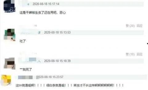 嘉欣爆料鹤轩聊天记录视频,揭秘背后惊人真相  第3张 嘉欣爆料鹤轩聊天记录视频,揭秘背后惊人真相  第3张